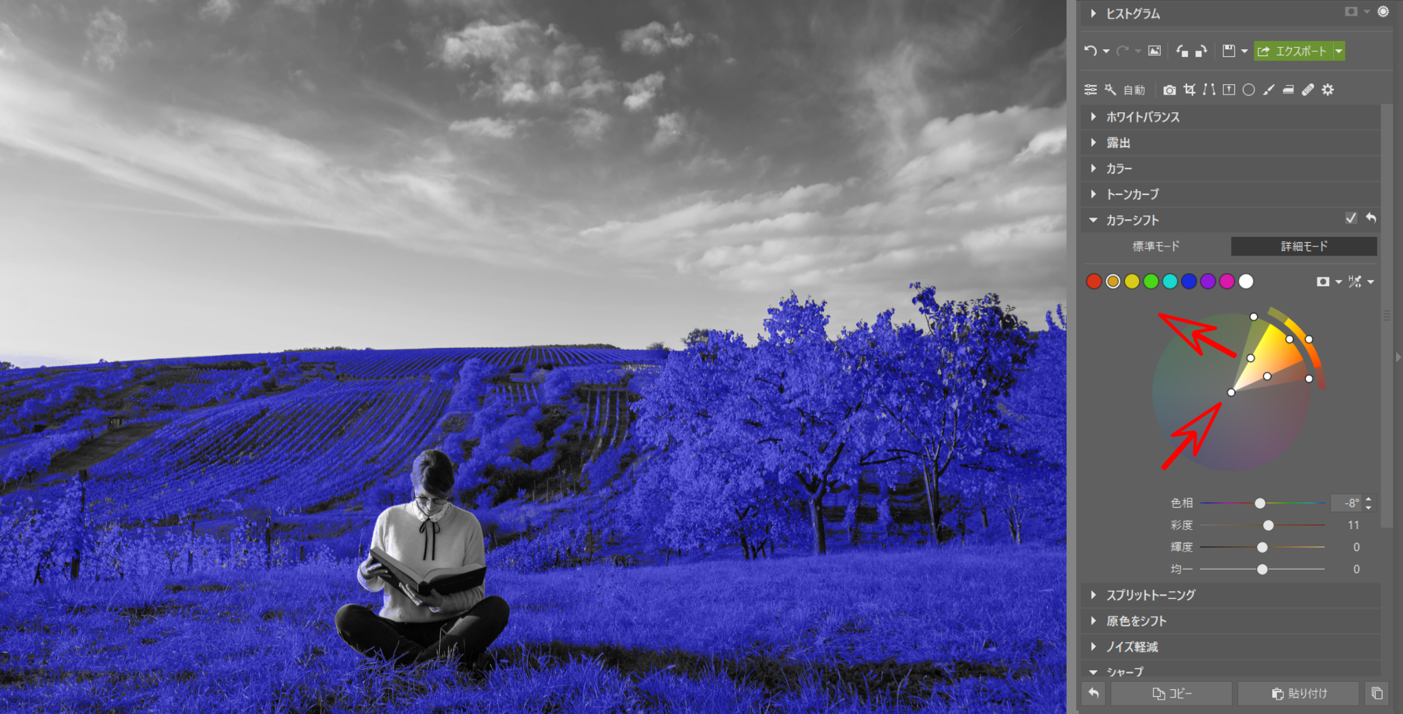 Color Shift: Get Absolute Control Over Your Photos’ Colors